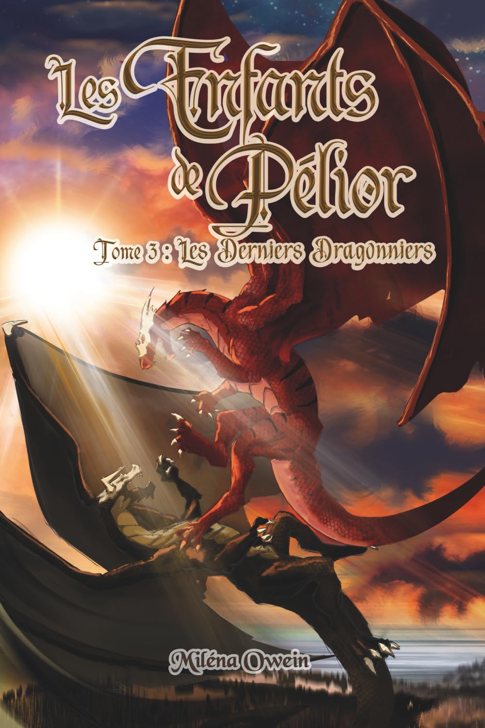 Les Derniers Dragonniers book
