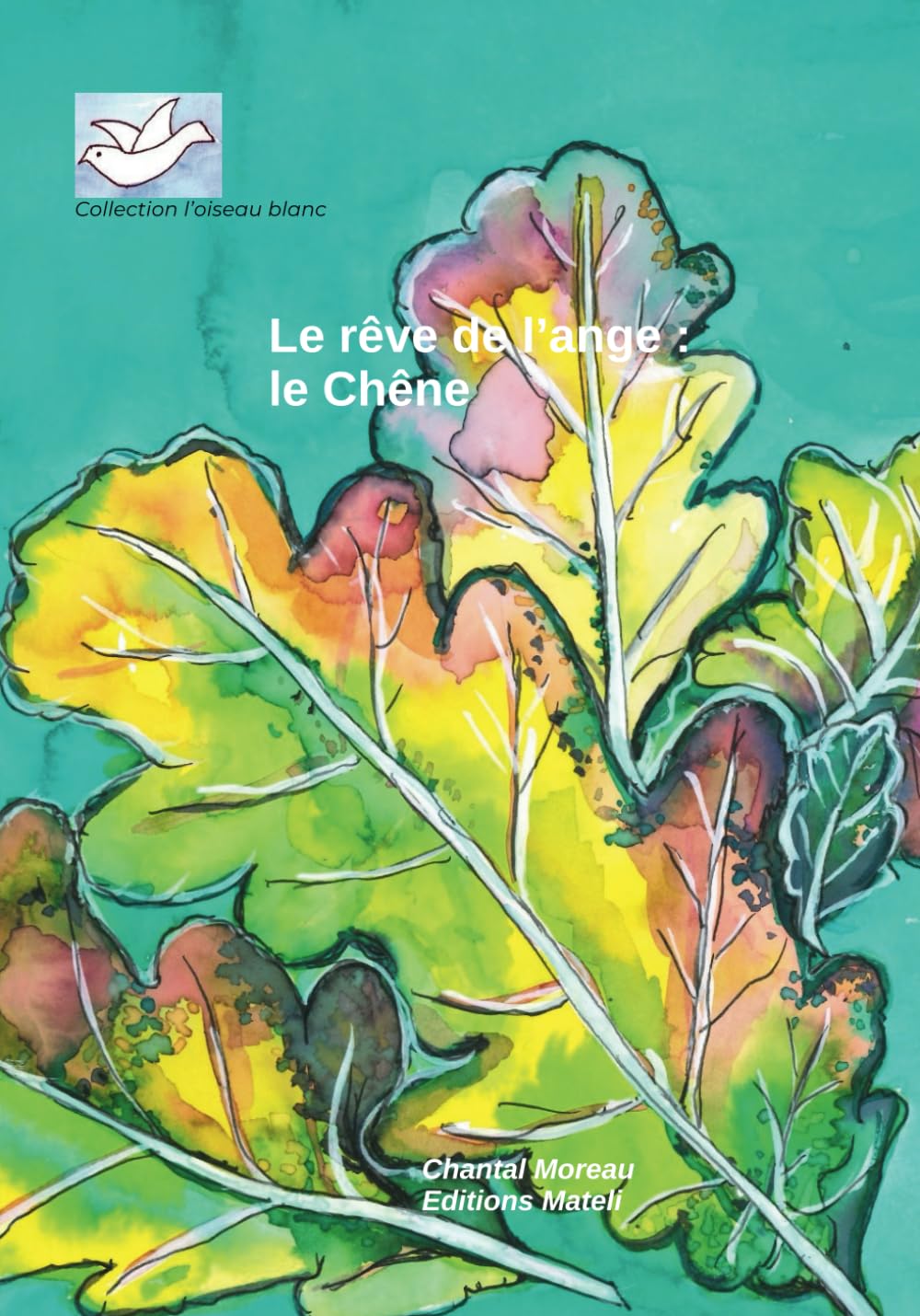 le rêve de l'ange : Le chêne: Collection l'oiseau blanc book