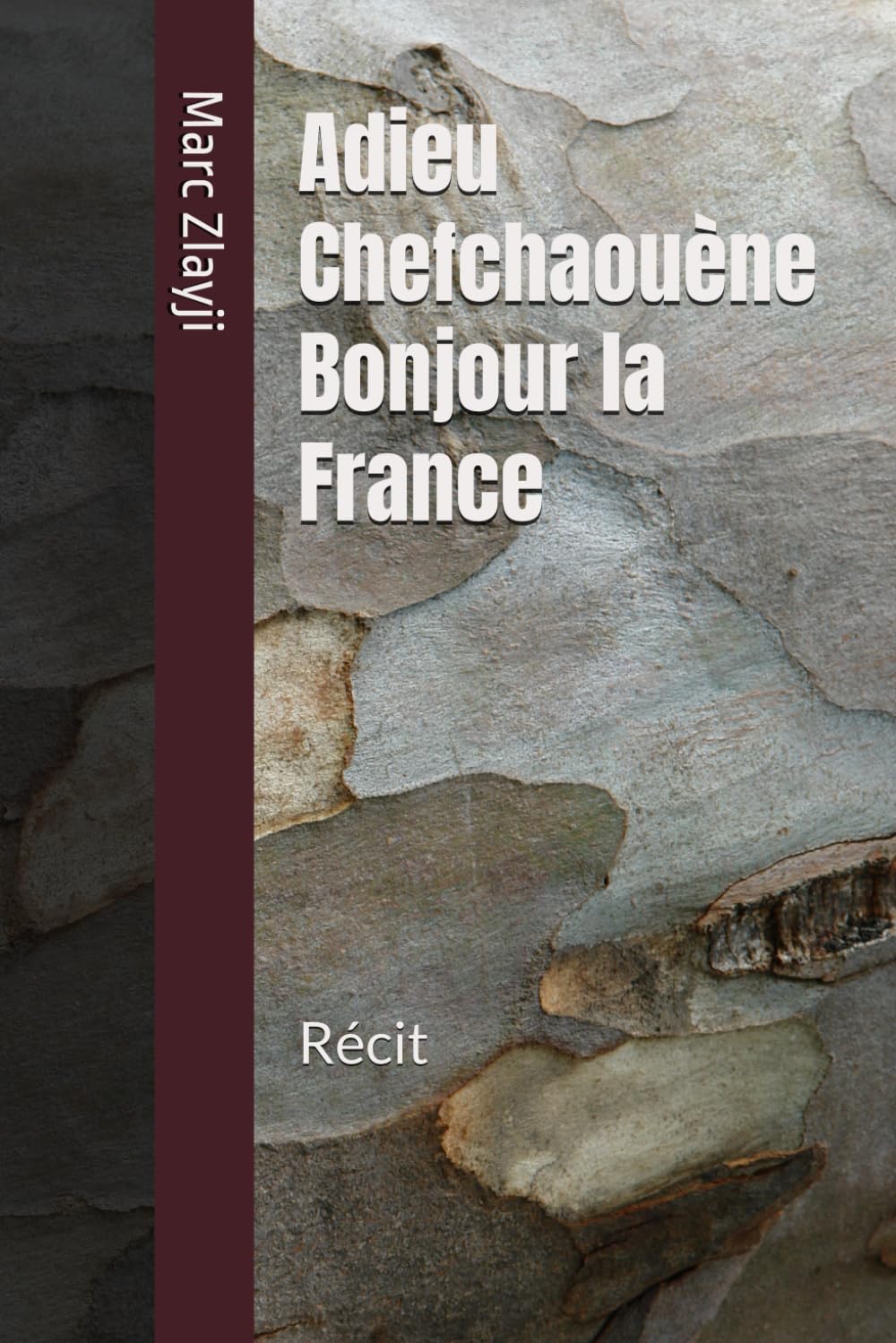 Adieu Chefchaouène Bonjour la France book