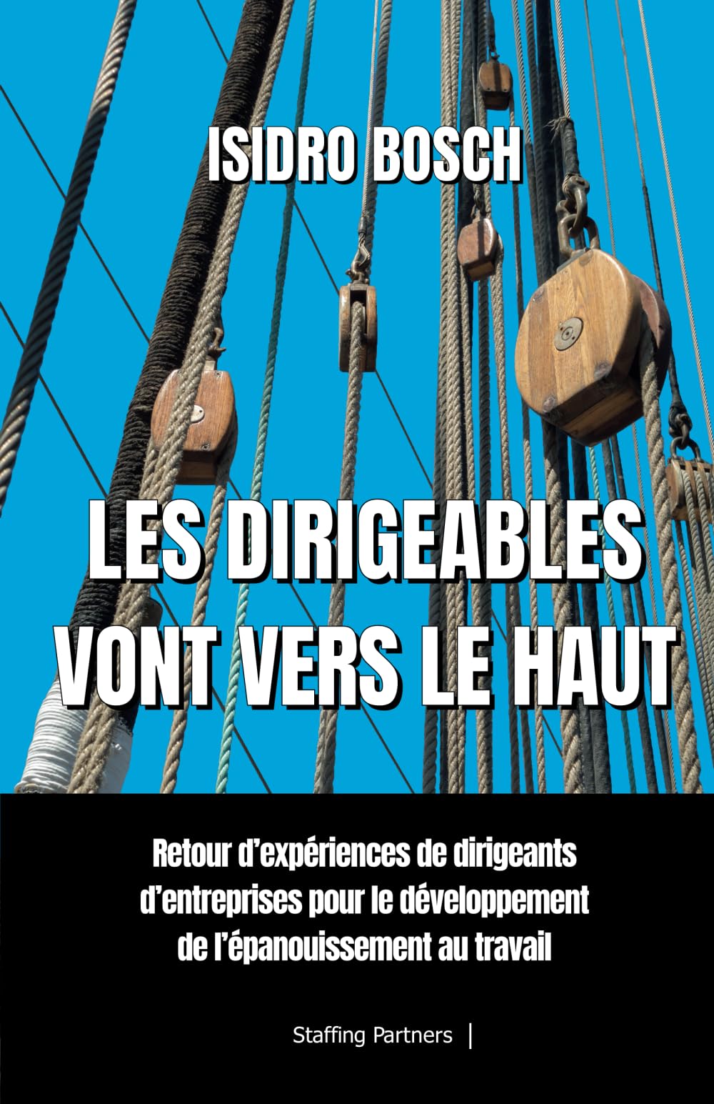 Les dirigeables vont vers le haut: Un retour d'expériences de dirigeants d'entreprises pour le développement de l'épanouissement au travail book
