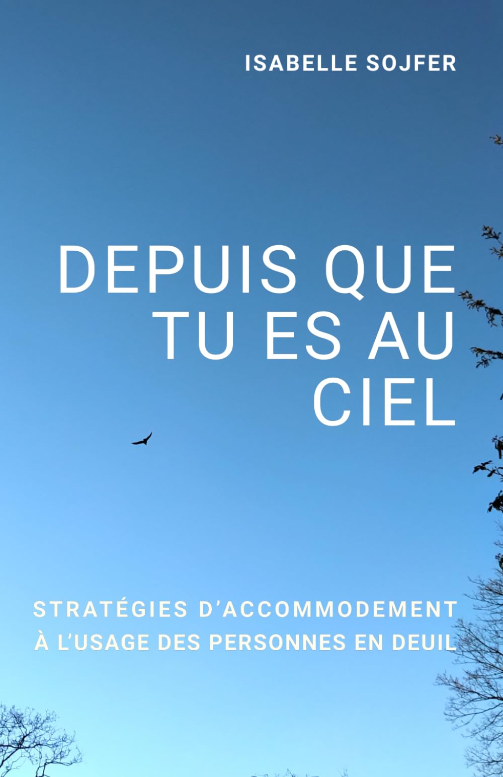 DEPUIS QUE TU ES AU CIEL: Stratégies d'accommodement à l'usage des personnes en deuil book