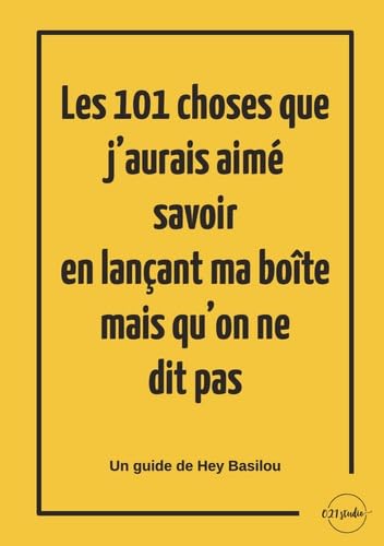 Les 101 choses que j’aurais aimé savoir en lançant ma boîte mais qu’on ne dit pas: Un guide de Hey Basilou book