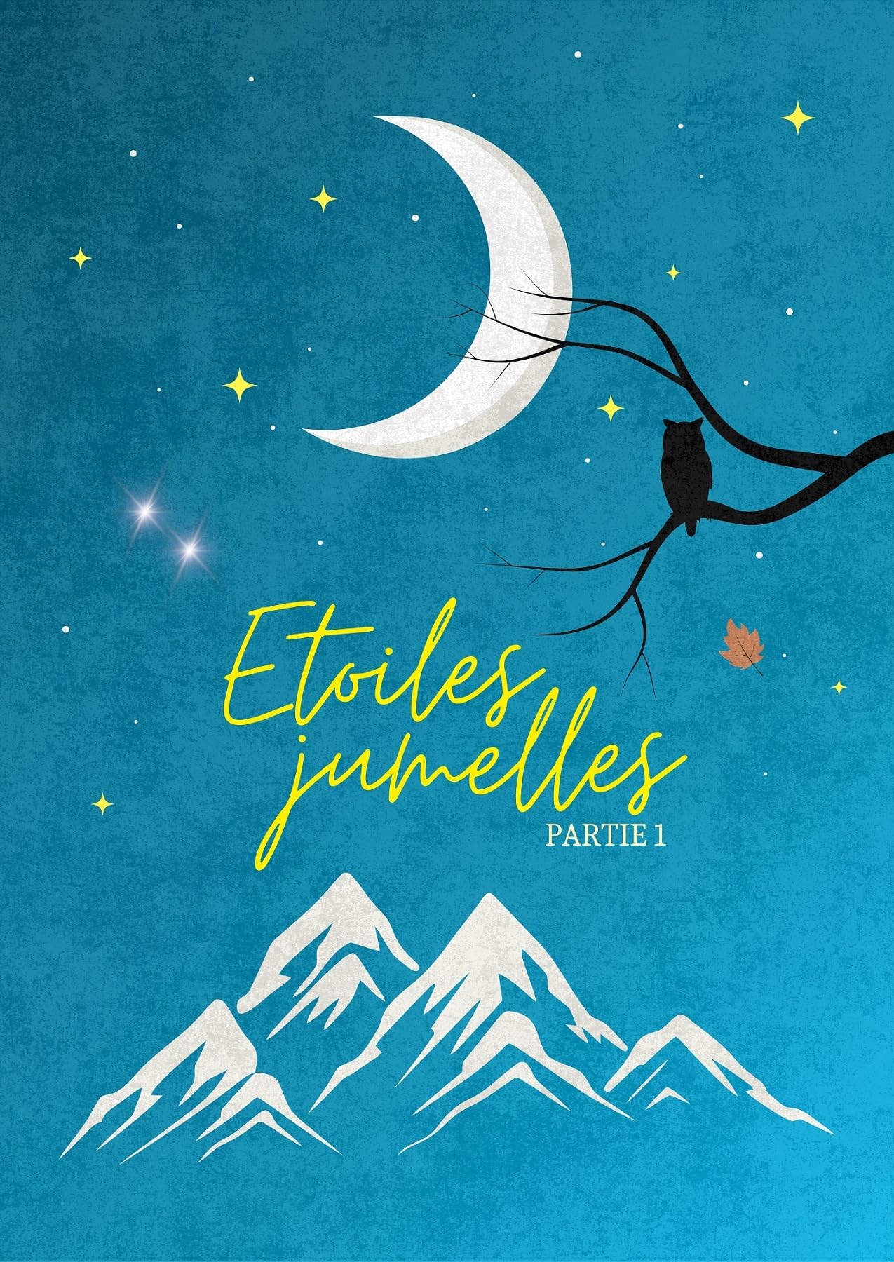Etoiles jumelles: Partie 1 book