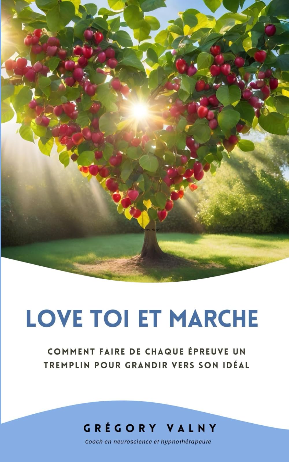 Love toi et marche - Conseils sur l'amour et la confiance en soi - 5*8 PO: Comment faire de chaque épreuve un tremplin pour grandir vers son idéal. book