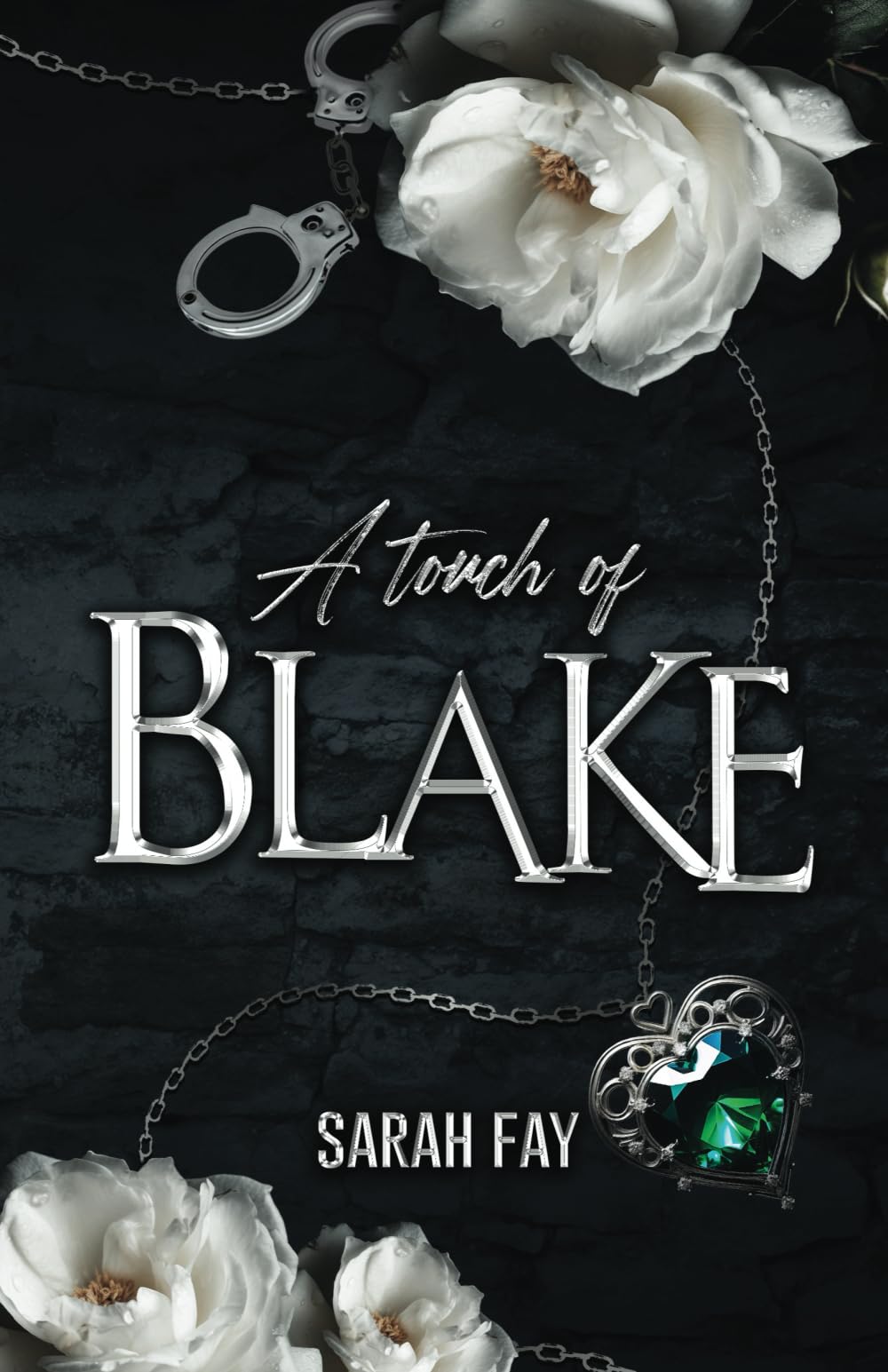 A Touch of Blake: Une romance psychologique sombre book