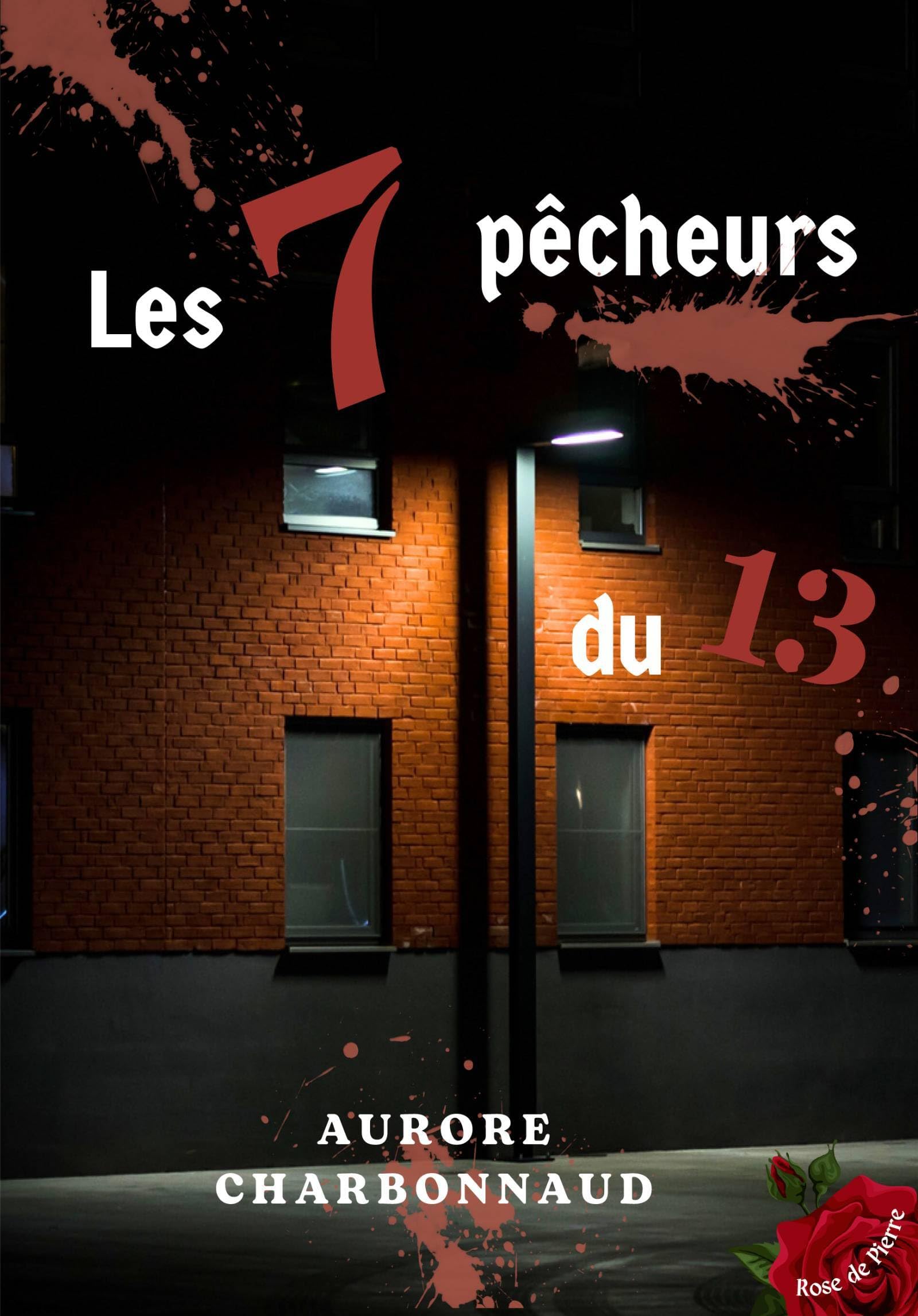 Les 7 pêcheurs du 13 book