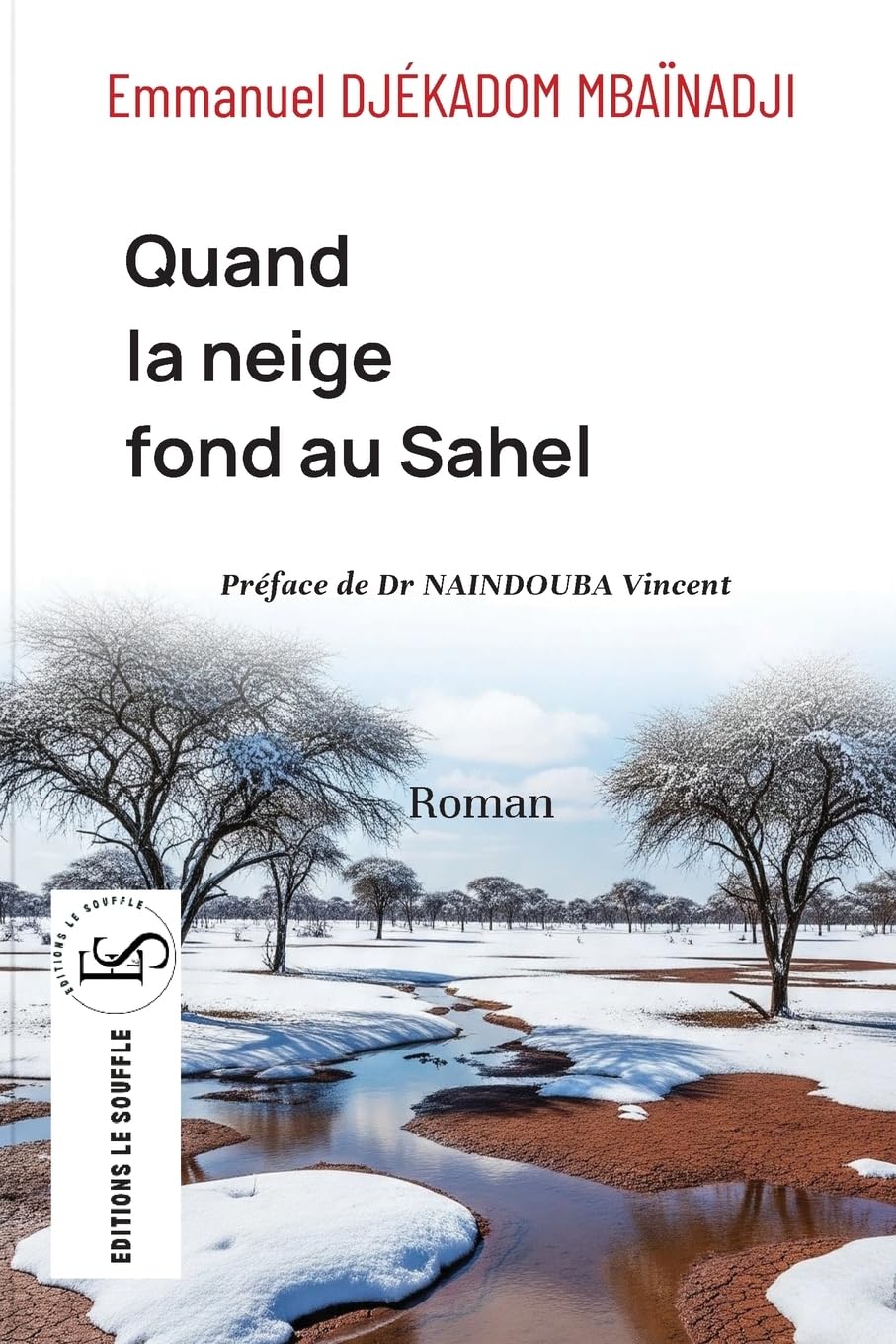 Quand la neige fond au Sahel Historical Fiction