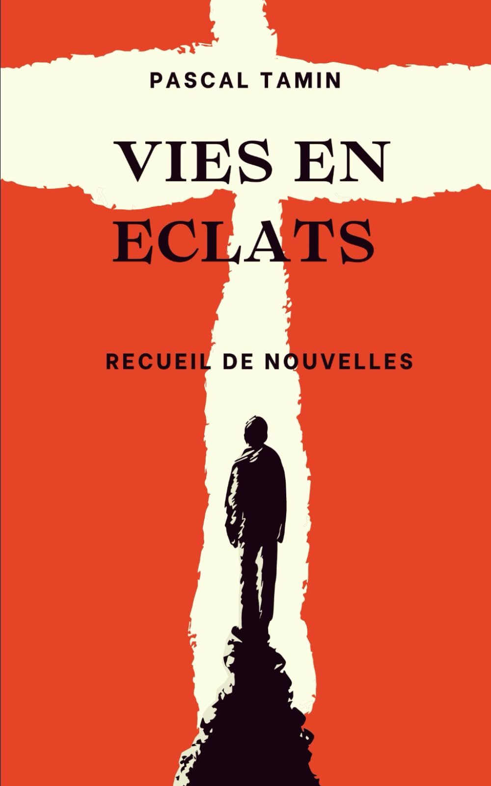 VIES EN ÉCLATS: Recueil de nouvelles. Humour, espoir, défi, déception, renaissance : un point commun à tous ces destins en mosaïque : une décision qui change tout. book