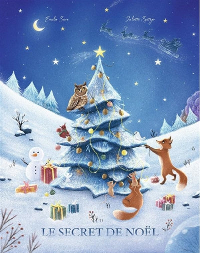 Product Image: Le secret de Noël