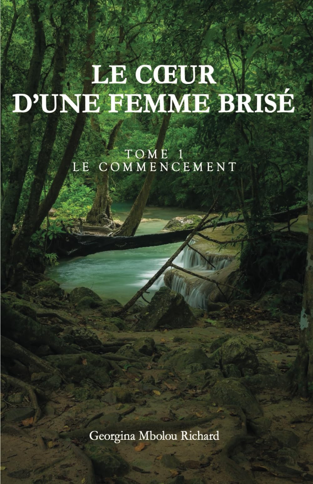 Le coeur d'une femme brisé Essays & Short Stories