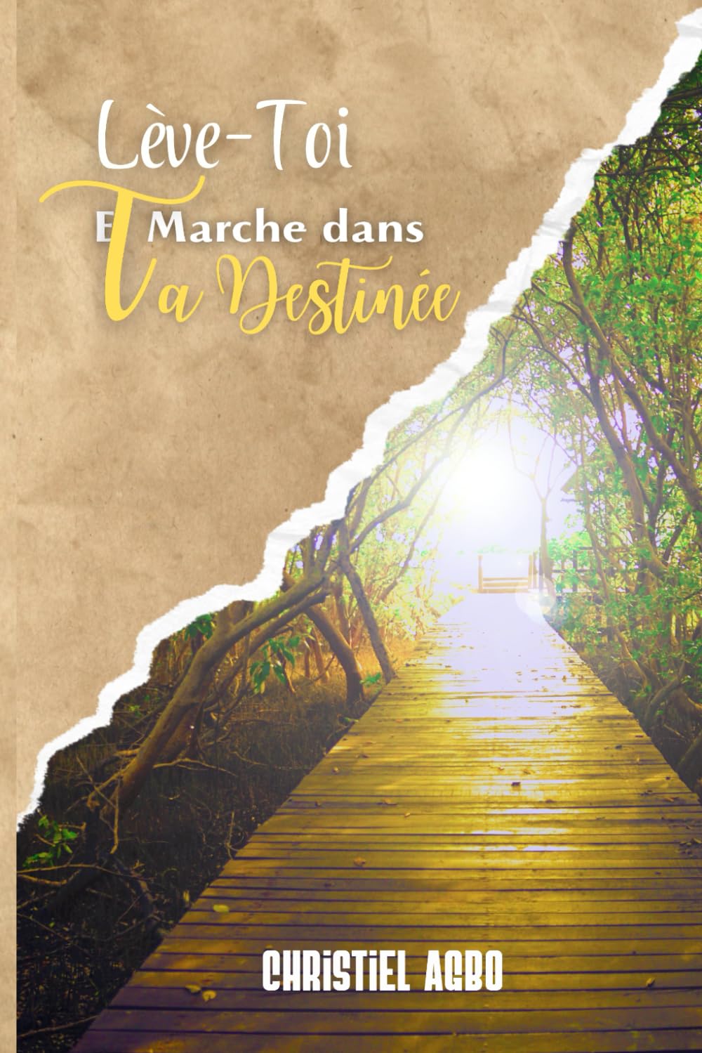 LÈVE-TOI ET MARCHE DANS TA DESTINÉE book