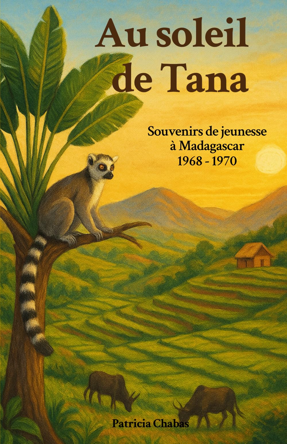 Au soleil de Tana: Souvenirs de jeunesse à Madagascar 1968-1970 book