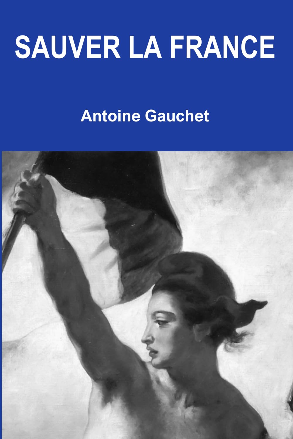 SAUVER LA FRANCE Politics & History