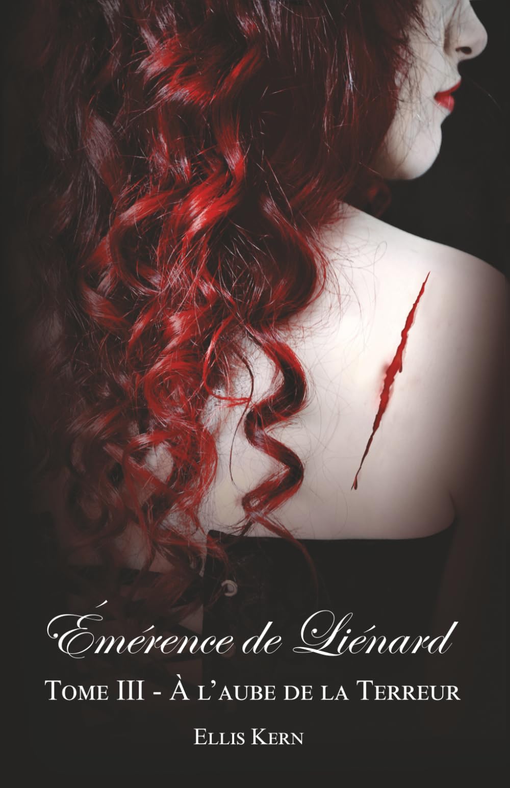 Émérence de Liénard, tome 3 – À l’aube de la terreur book