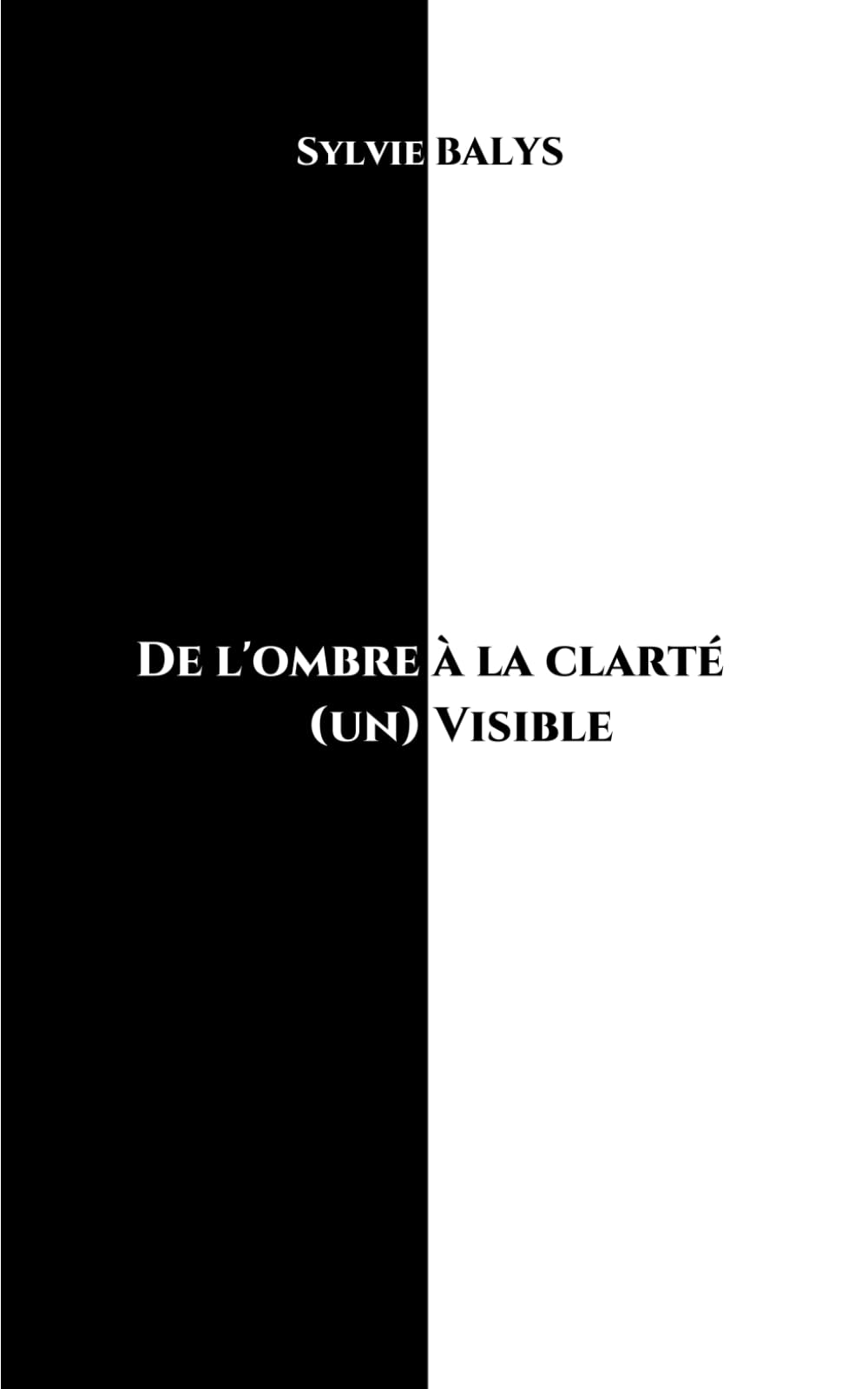 De l'ombre à la clarté: (un) Visible book