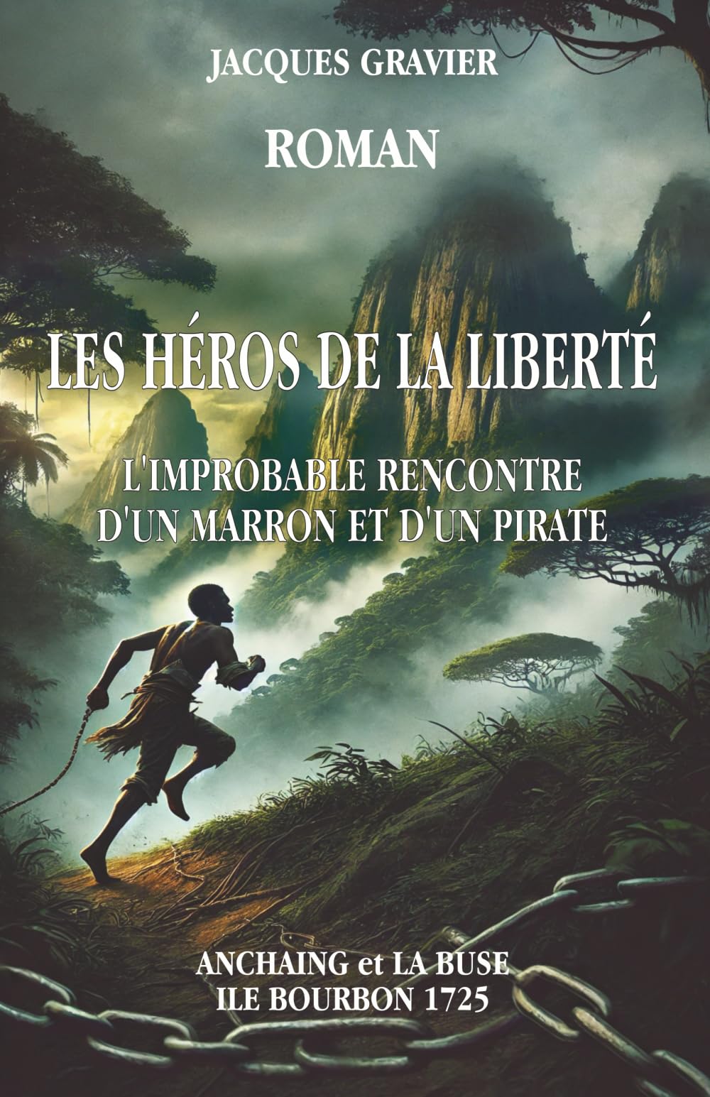 LES HÉROS DE LA LIBERTÉ, L'IMPROBABLE RENCONTRE D'UN MARRON ET D'UN PIRATE book