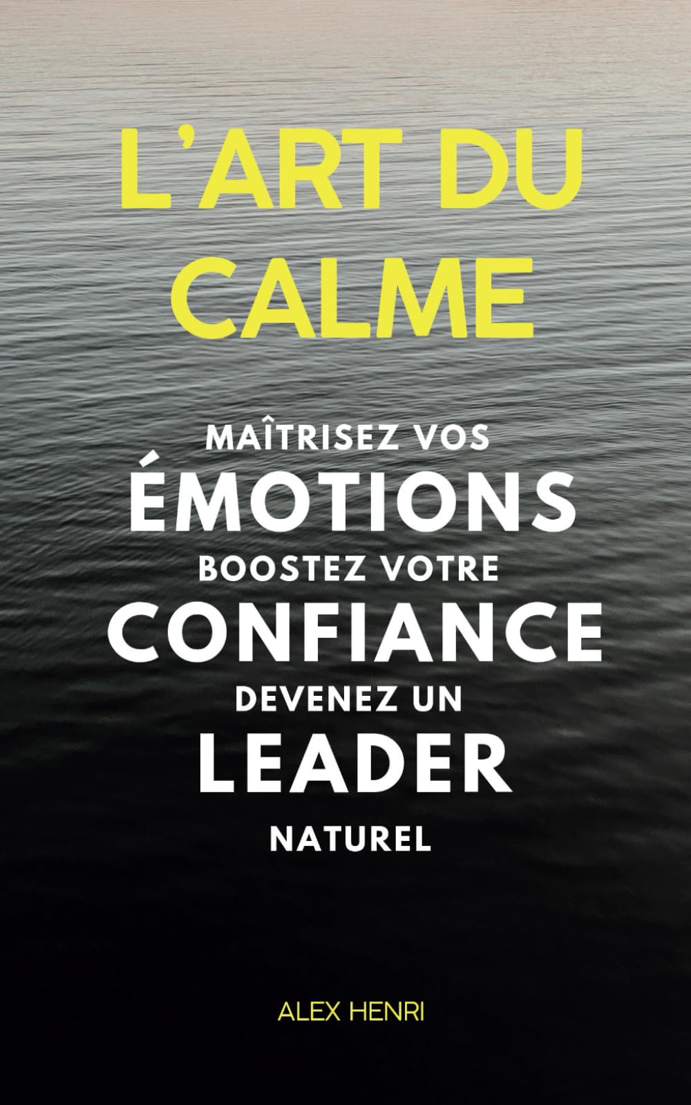 L'Art du Calme: Maîtrisez vos Émotions, Boostez votre Confiance et Devenez un Leader Naturel book