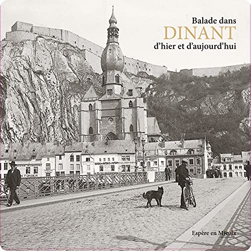 Balade dans Dinant et ses villages d'hier à aujourd'hui Books