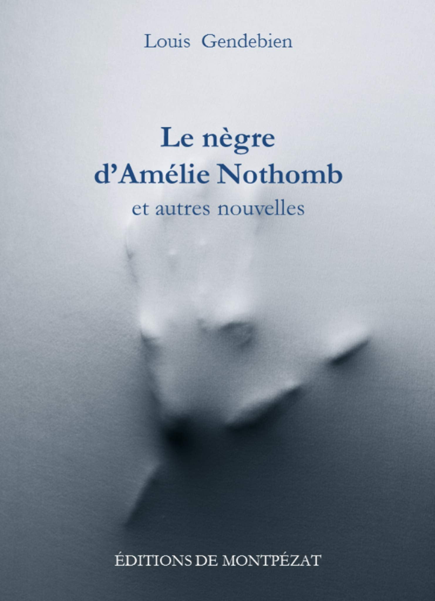 Le nègre d'Amélie Nothomb et autres nouvelles book