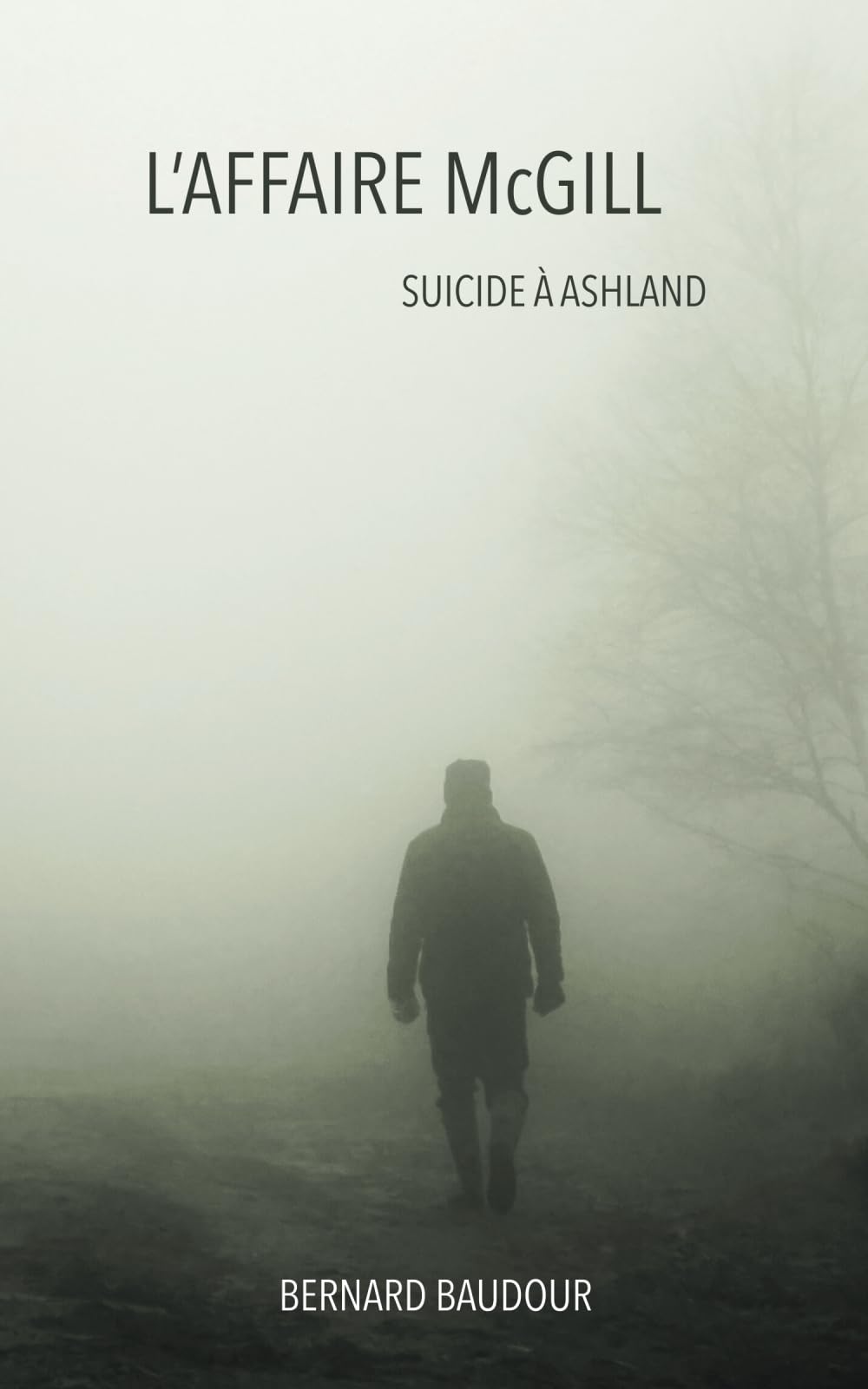 L'Affaire McGill: Suicide à Ashland book