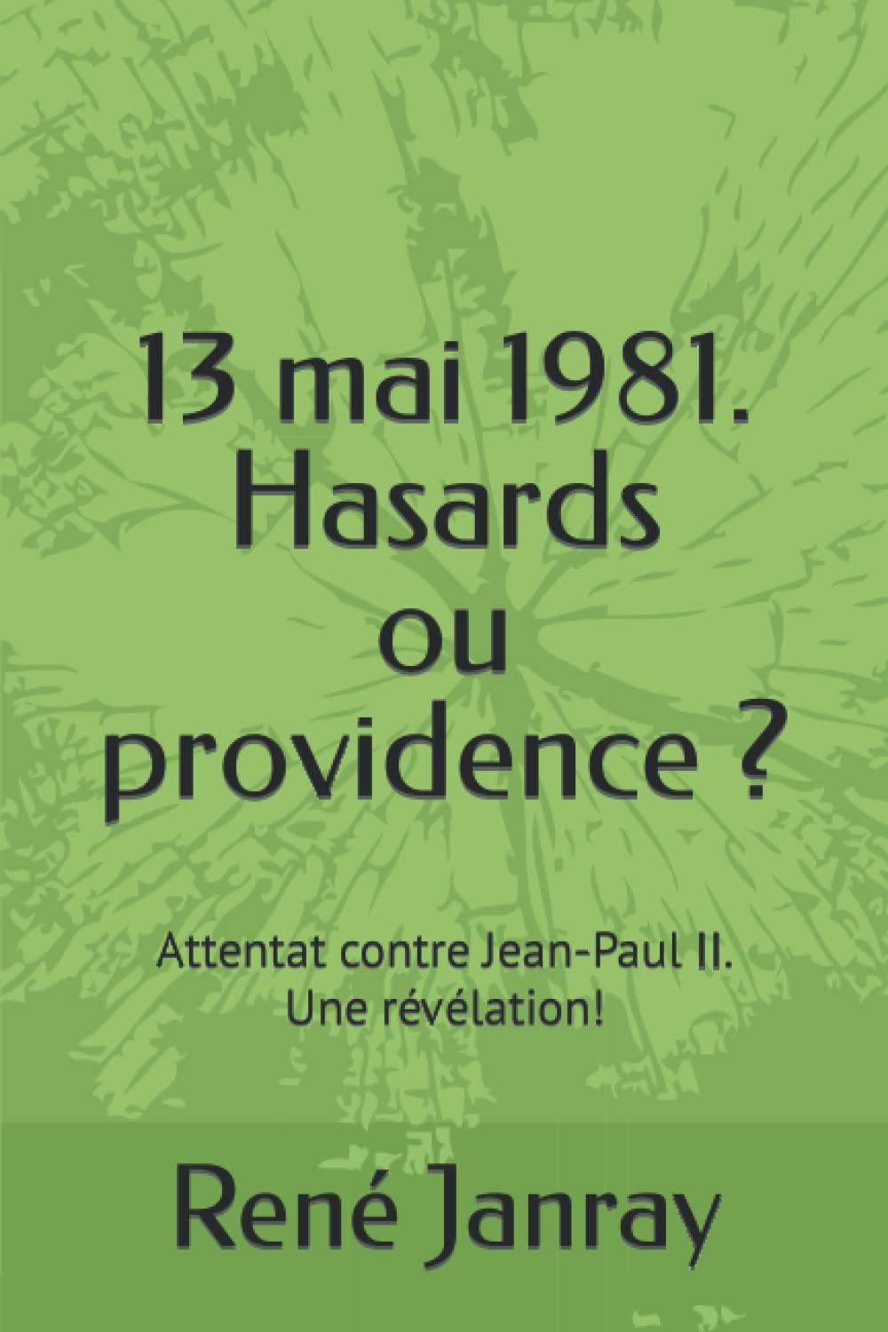 13 mai 1981. Hasards ou providence ?: Attentat contre Jean-Paul II. Une révélation! book
