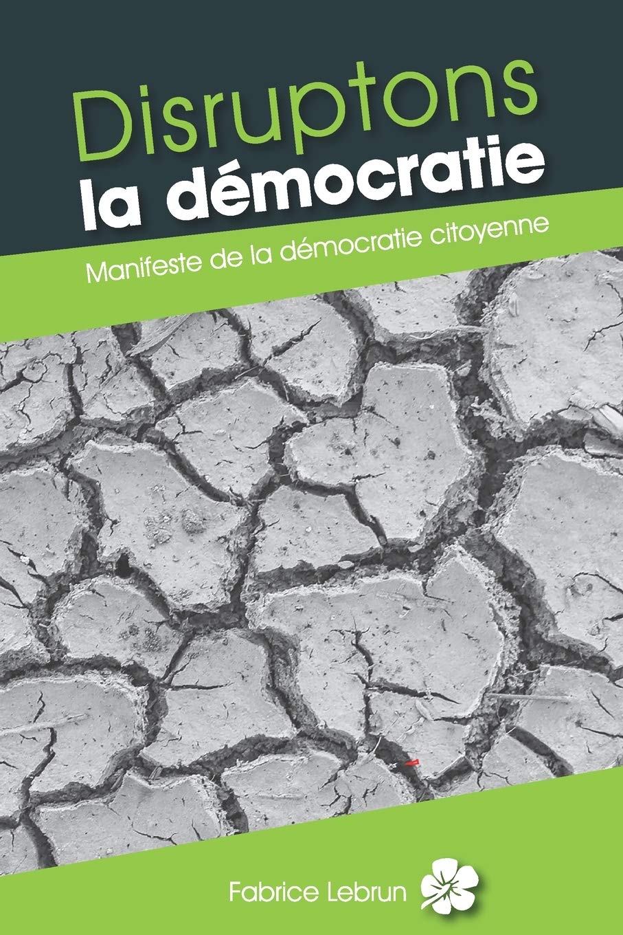 Disruptons la démocratie: Manifeste de la démocratie citoyenne book