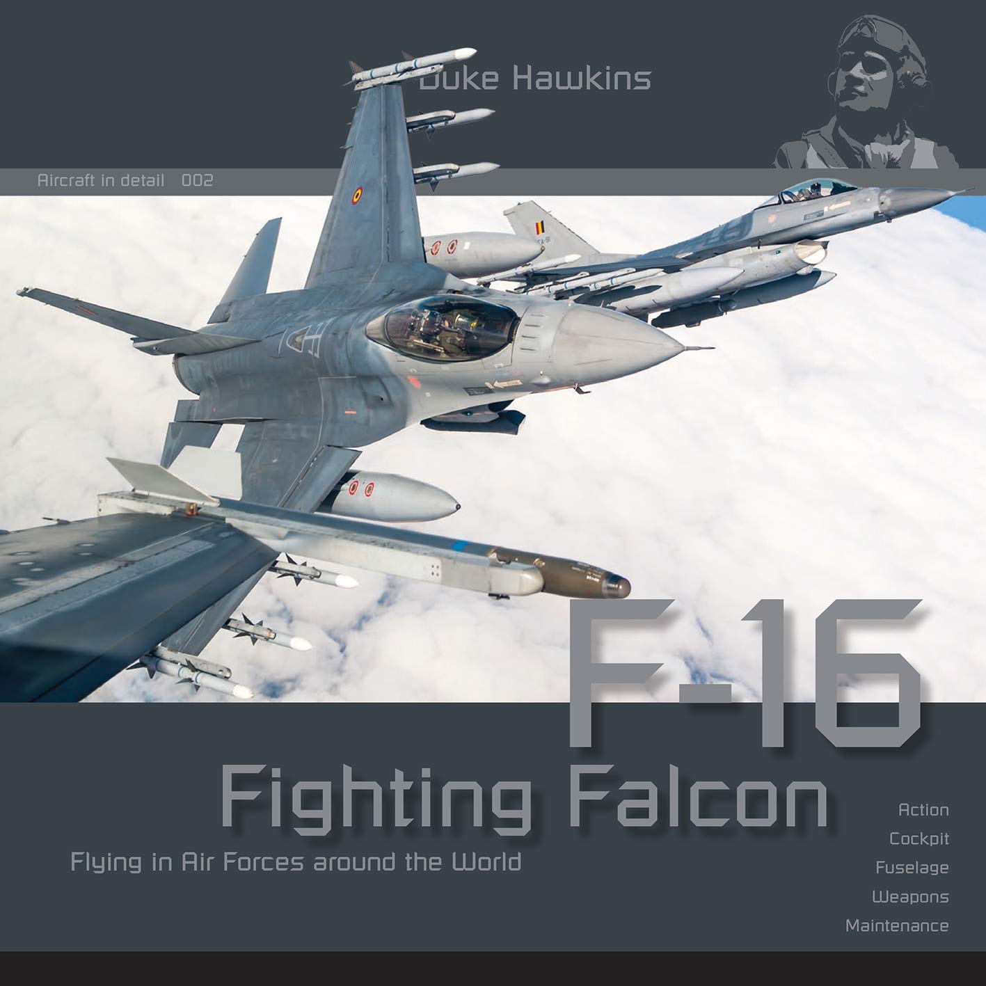 Lockheed-Martin F-16: Aircraft in Detail (Duke Hawkins, 2, Band 2) Hobbies & Crafts