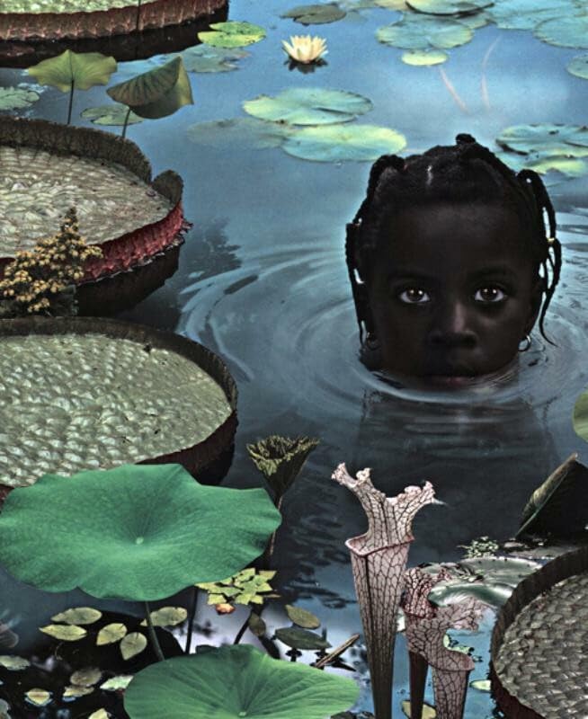 Ruud Van Empel - 25 Years Of Photo Works 1995-2020 Photography