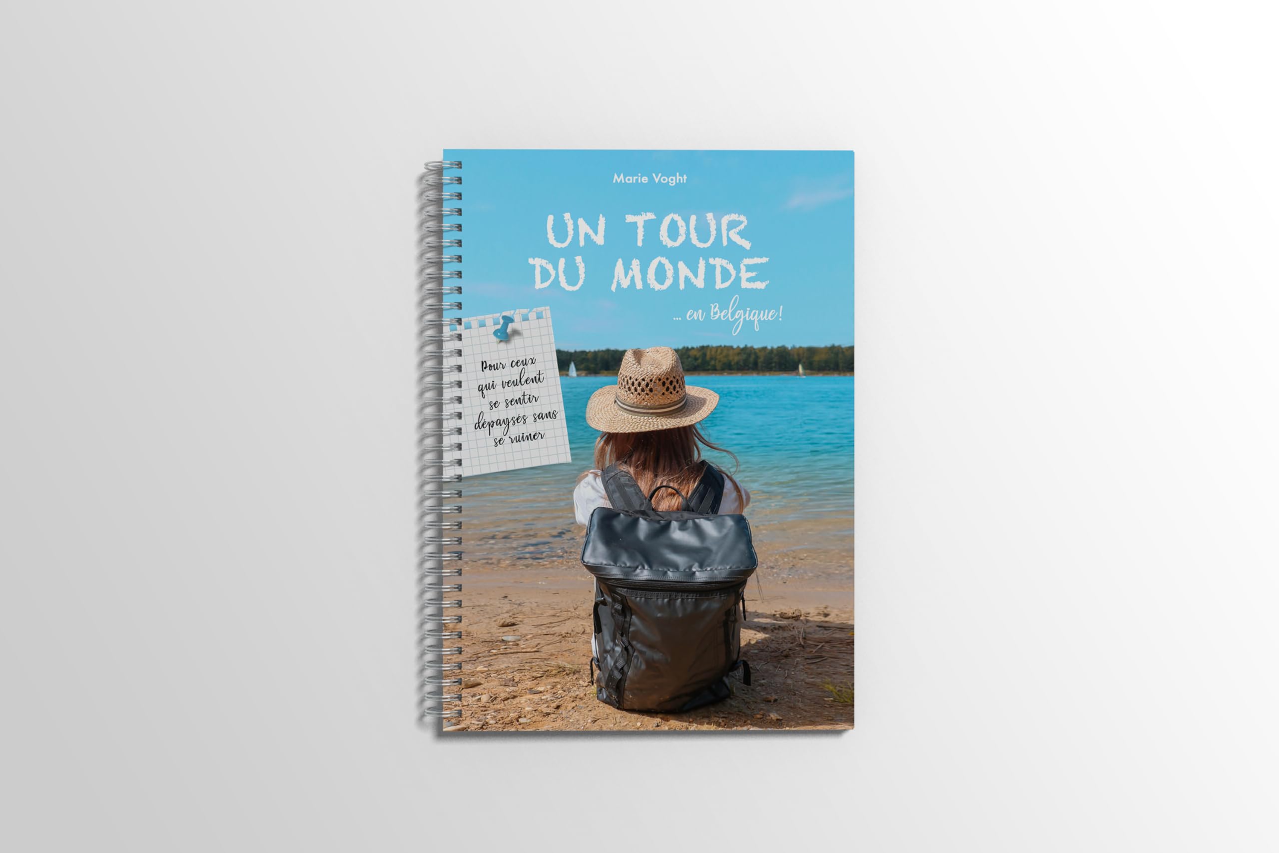 Tour du Monde en Belgique book