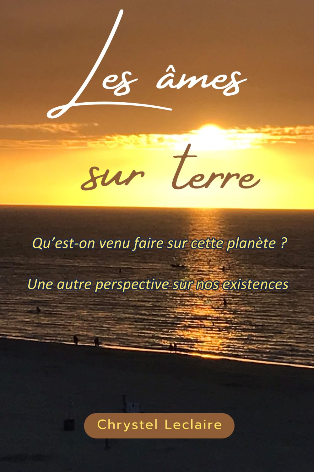 Les âmes sur Terre: Qu'est-on venu faire sur cette planète ? book