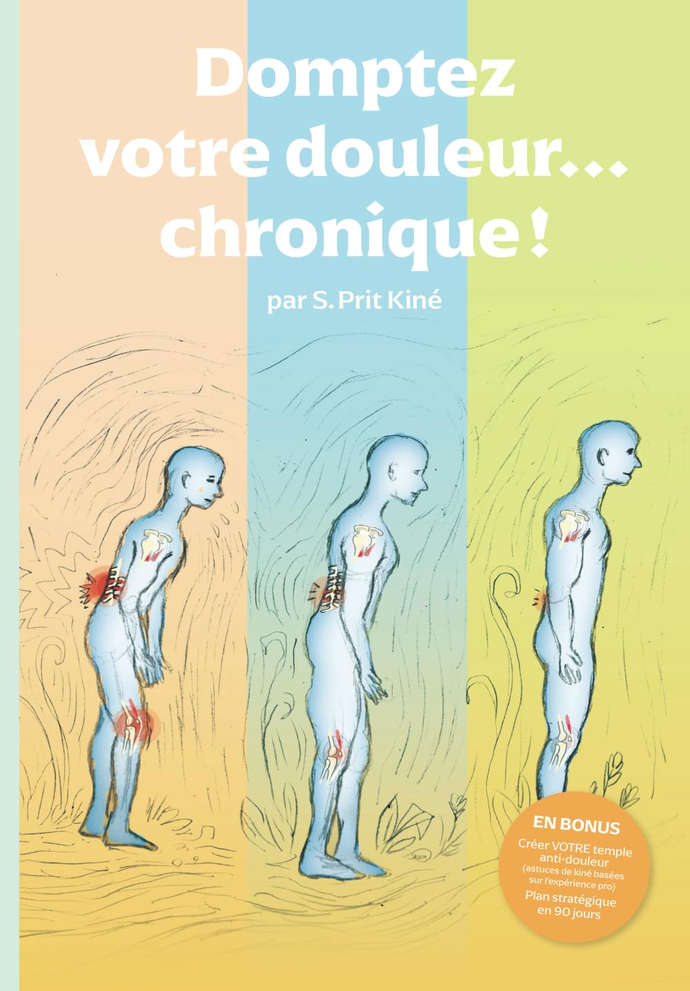 Domptez votre douleur...chronique ! book