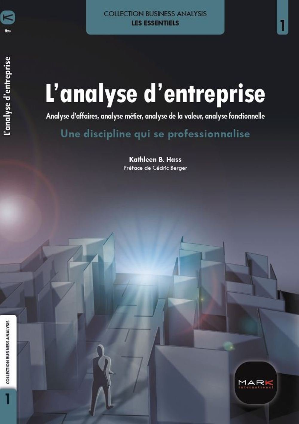 L'analyse d'entreprise : analyse d'affaires, analyse métier... une discipline qui se professionnalise (Collection BUSINESS ANALYSIS) Books