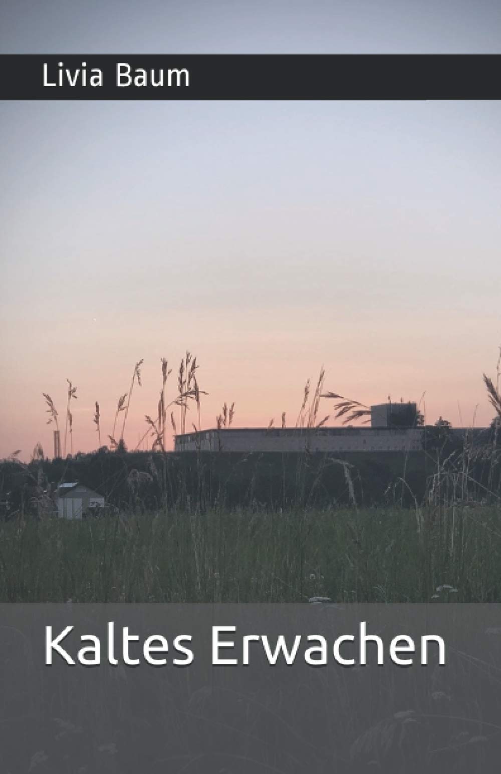Kaltes Erwachen: Der zweite Fall für Bernd Oberreuther und Corinna Bach book