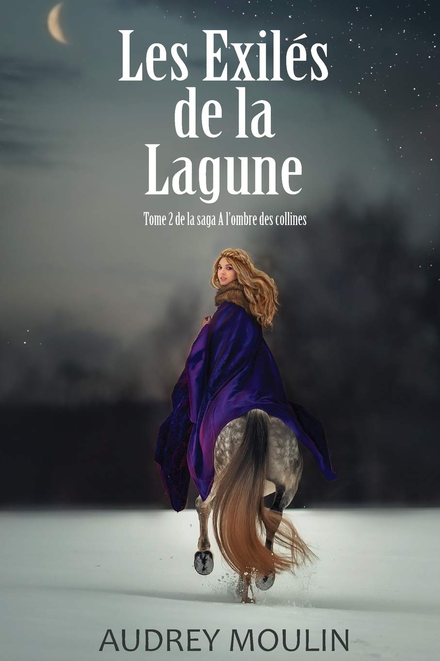 Les Exilés de la Lagune: A l'ombre des collines tome 2 book