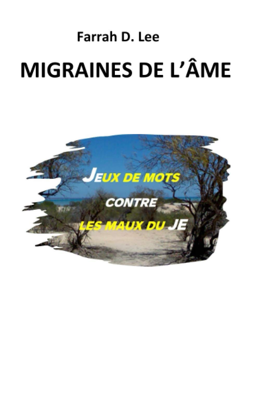 MIGRAINES DE L'ÂME: Jeux de mots contre les maux du JE book