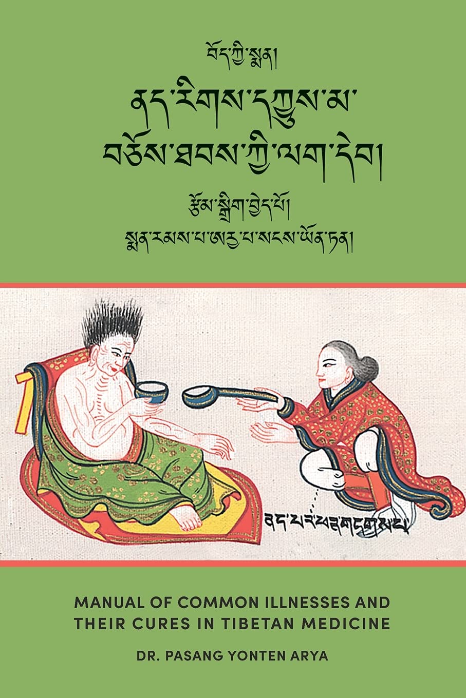 Manual of Common Illnesses and Their Cures in Tibetan Medicine (Nad rigs dkyus ma bcos thabs kyi lag deb) Medicine