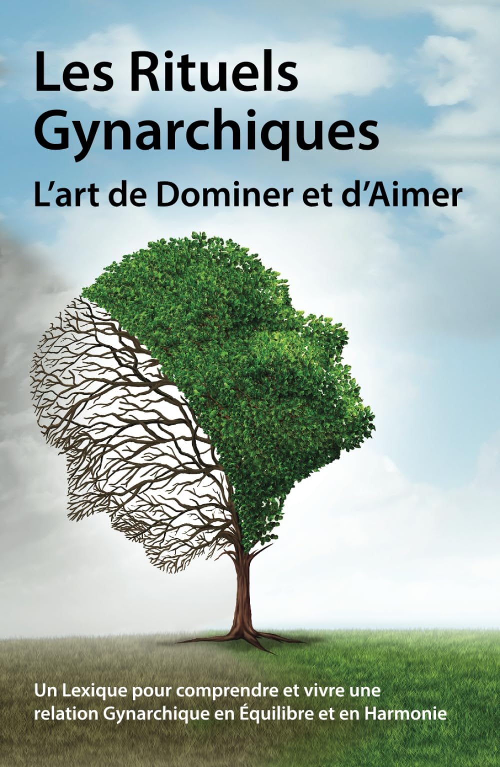Les Rituels Gynarchiques: L’art de Dominer et d’Aimer book