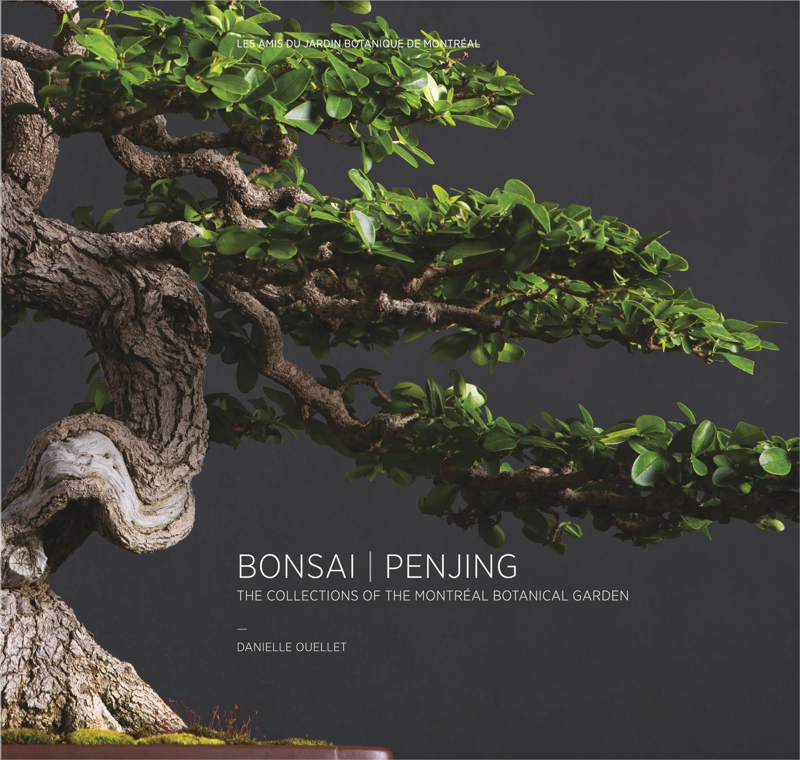 Bonsai | Penjing: The Collections of the MontrA (c)al Botanitcal Garden: The Collections of the Montreal Botanitcal Garden Film, Art & Culture