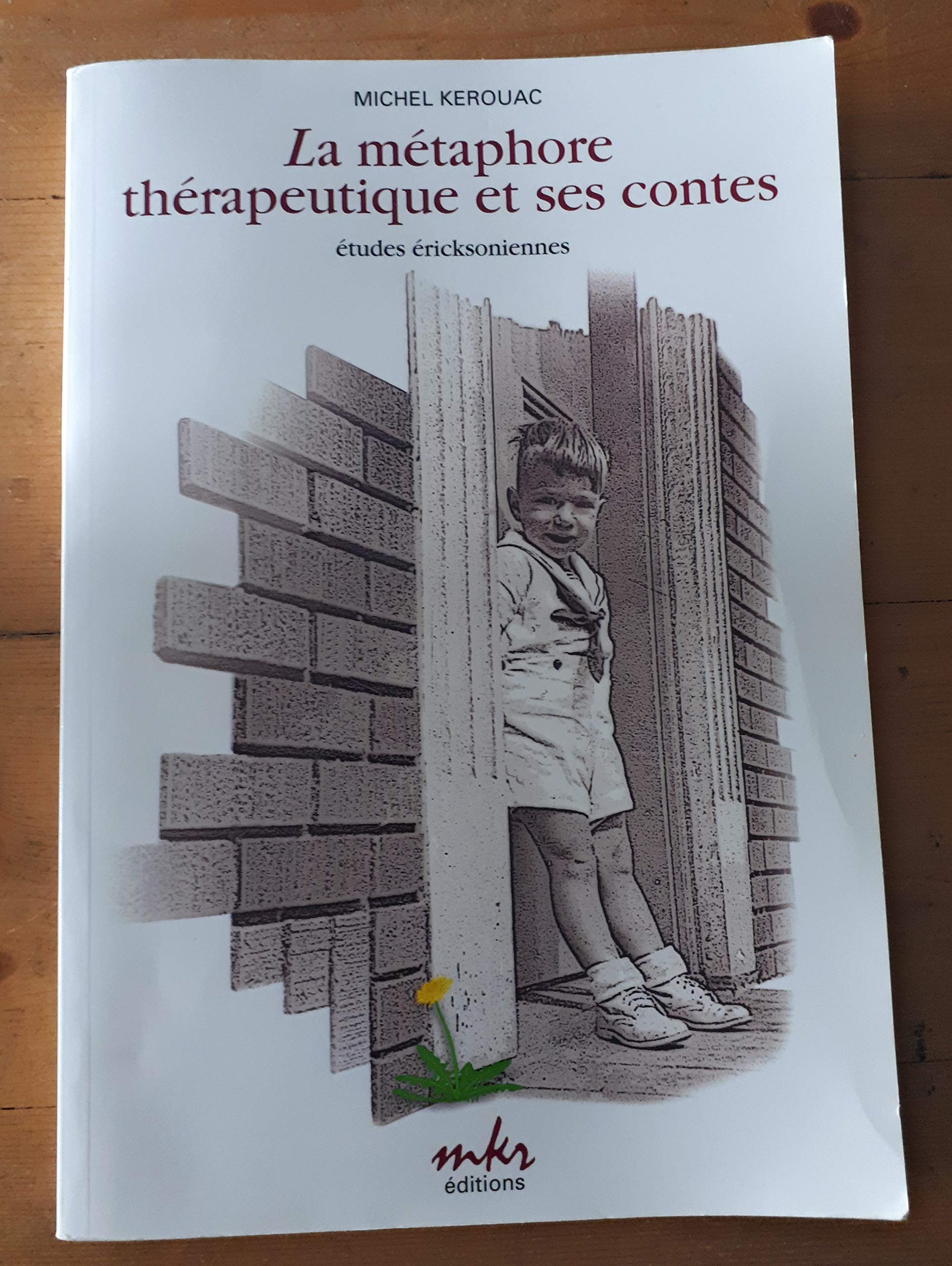 La Métaphore Thérapeutique et Ses Contes : Études Éricksoniennes Books
