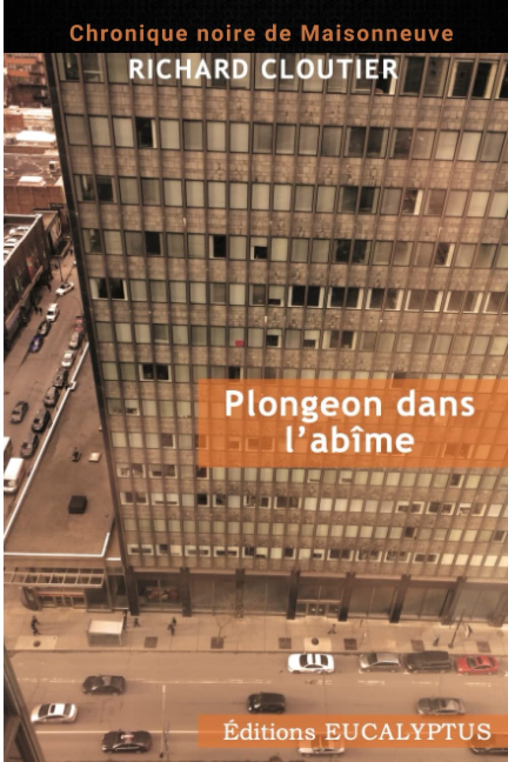 Plongeon dans l'abîme (Chronique noire de Maisonneuve) Suspense & Thrillers