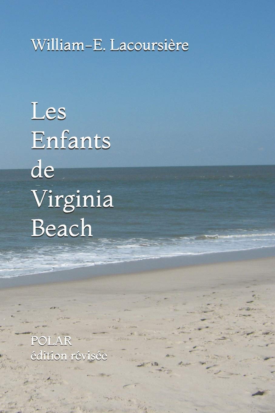 Les Enfants de Virginia Beach: (Édition revue et augmentée) book