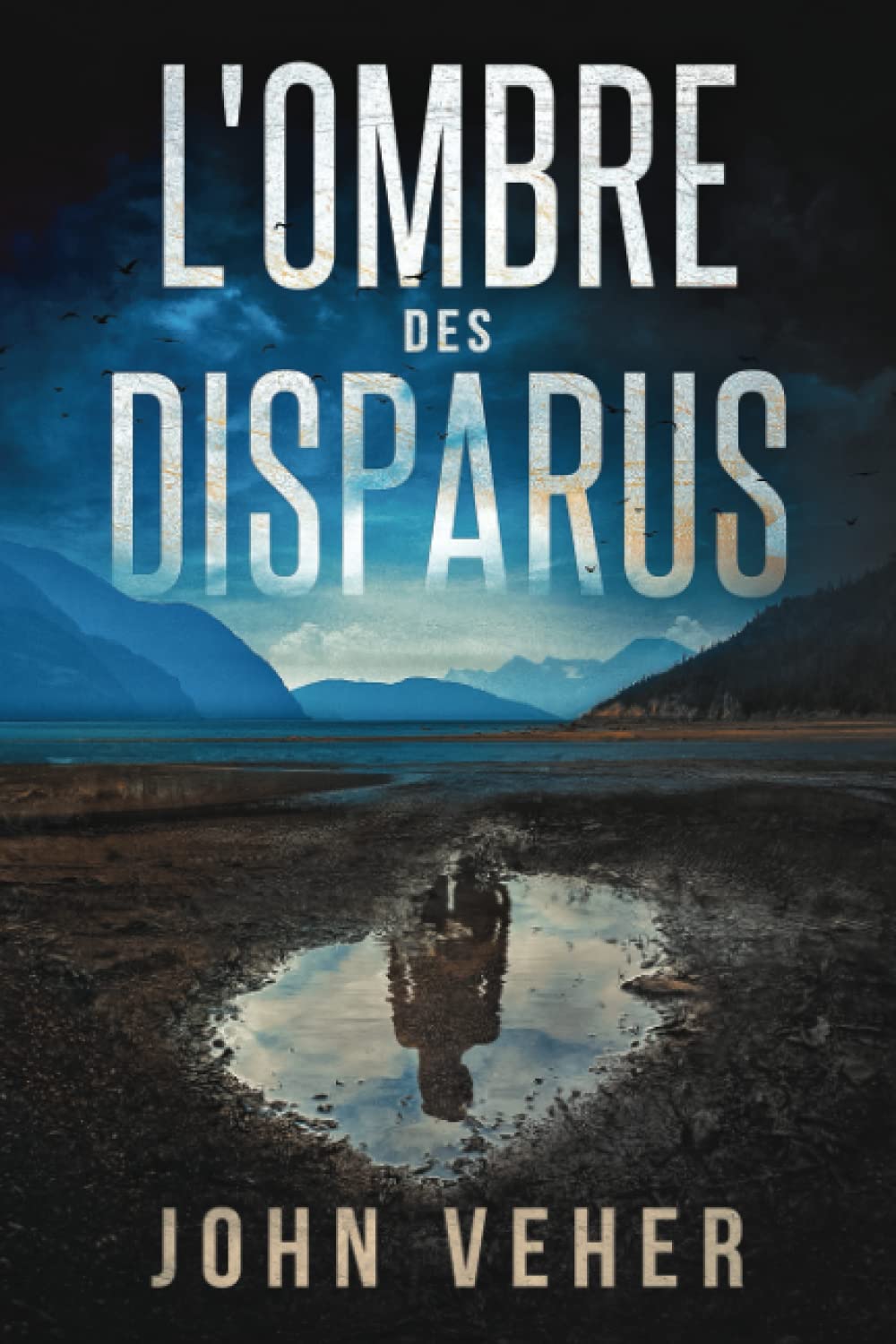 L'Ombre des disparus: Thriller psychologique book