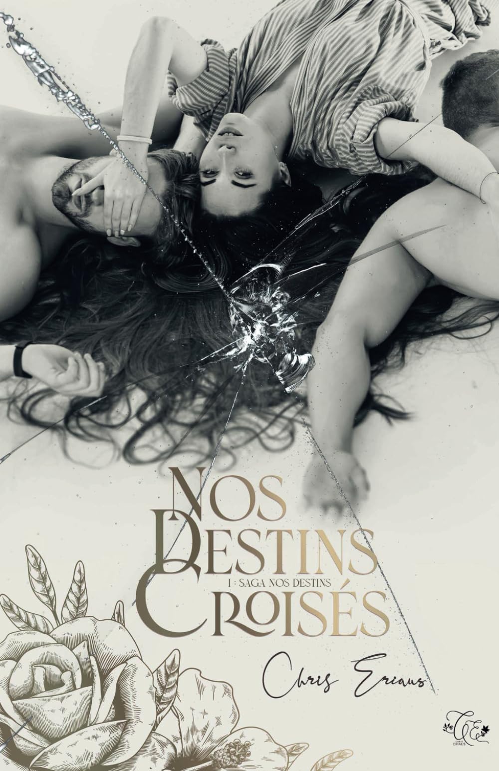 Nos destins croisés Tome 1: Saga Nos destins book