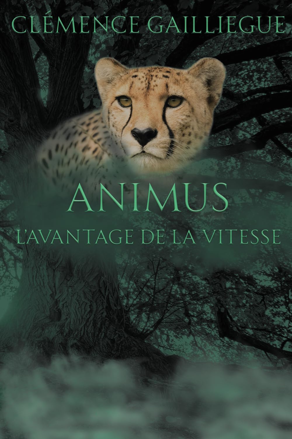 Animus: L'avantage de la vitesse book