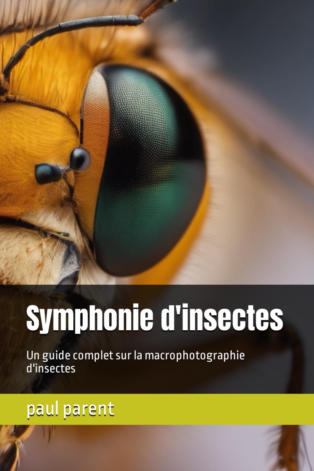 Symphonie d'insectes: Un guide complet sur la macrophotographie d'insectes book