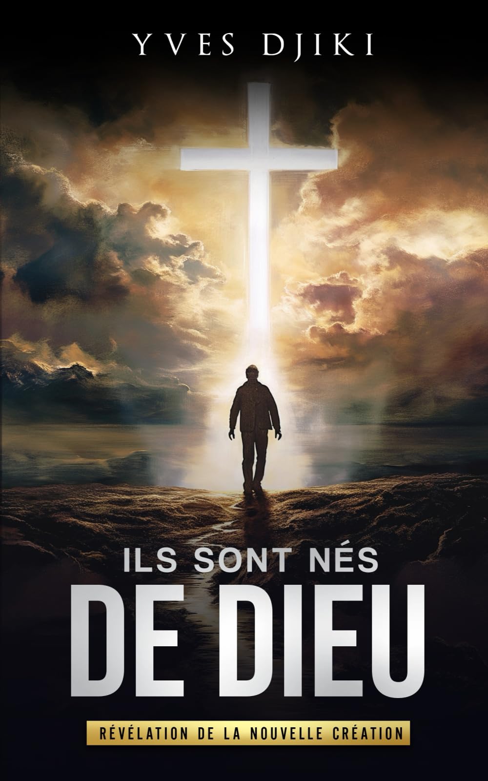 Ils sont nés de Dieu: Révélation de la Nouvelle Création, La vie Chrétienne Normale est Surnaturelle, Apprendre à Faire les Oeuvres que Jésus Faisait book