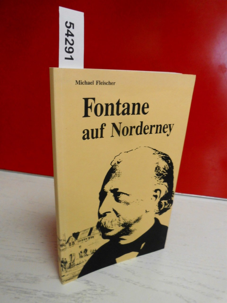 Fontane auf Norderney (Livre en allemand) book