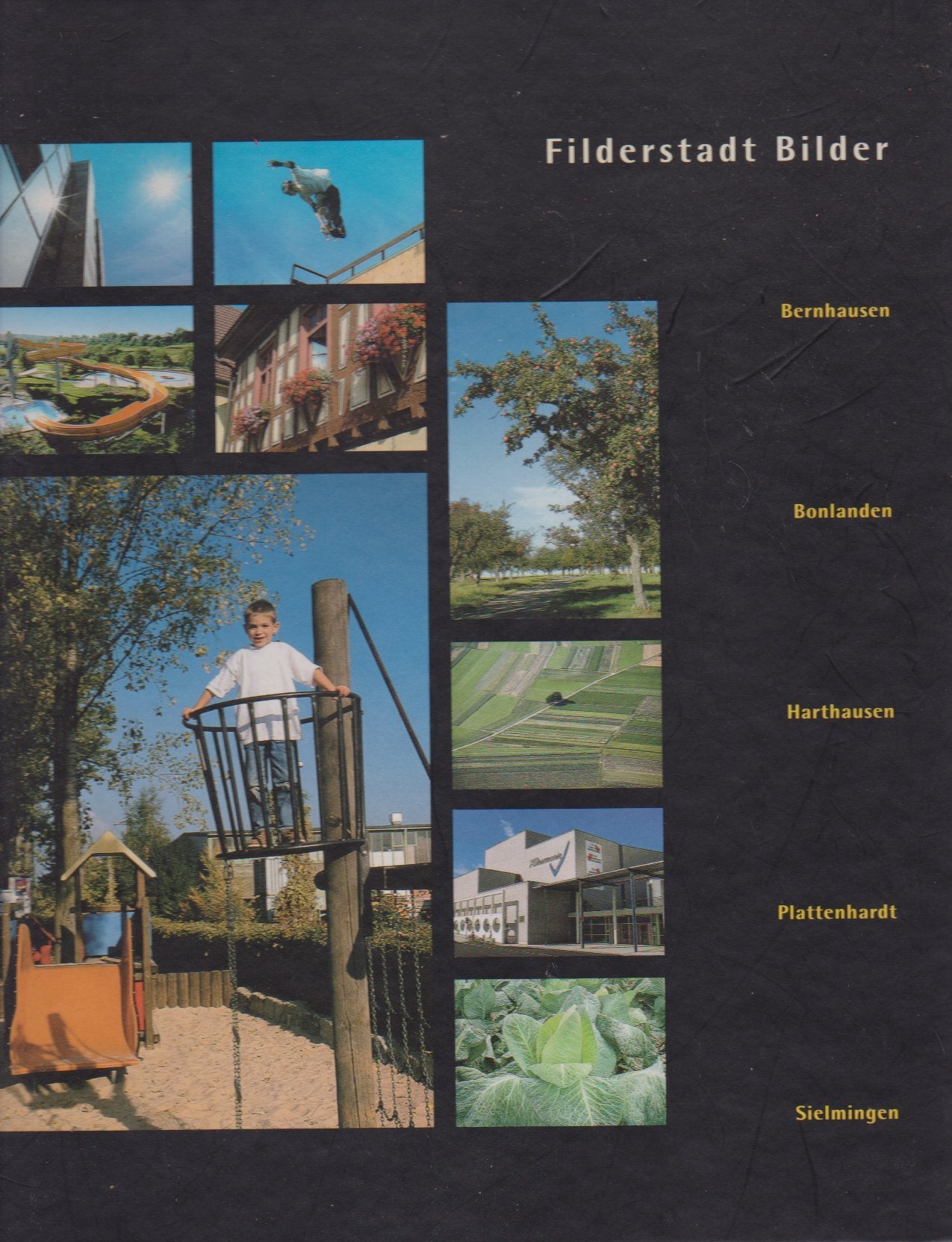 Filderstadt Bilder: Bernhausen, Bonlanden, Harthausen, Plattenhardt, Sielmingen: Bildband. Books