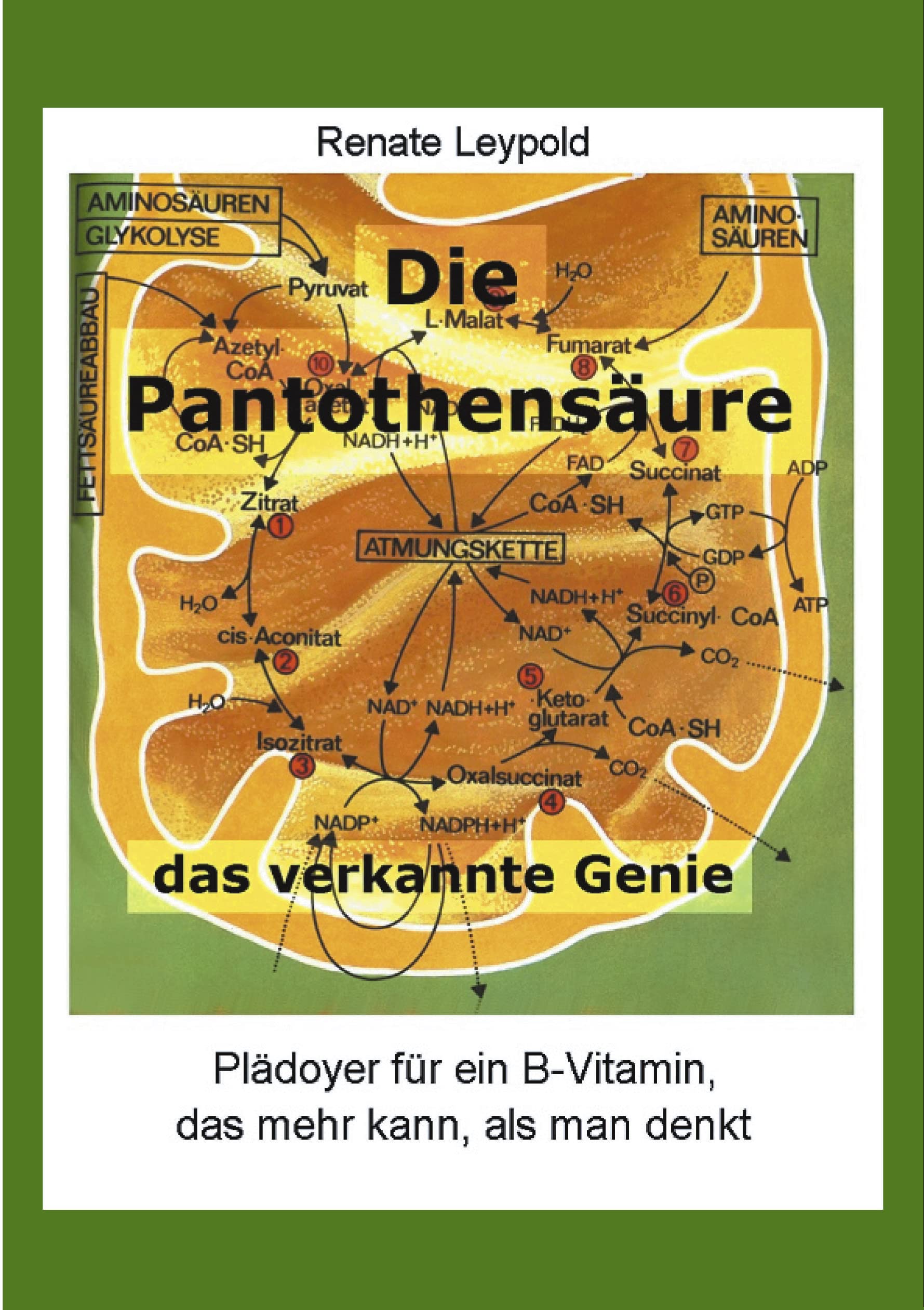 Die Pantothensäure – Das verkannte Genie: Plädoyer für ein B-Vitamin das mehr kann, als man denkt Medicine