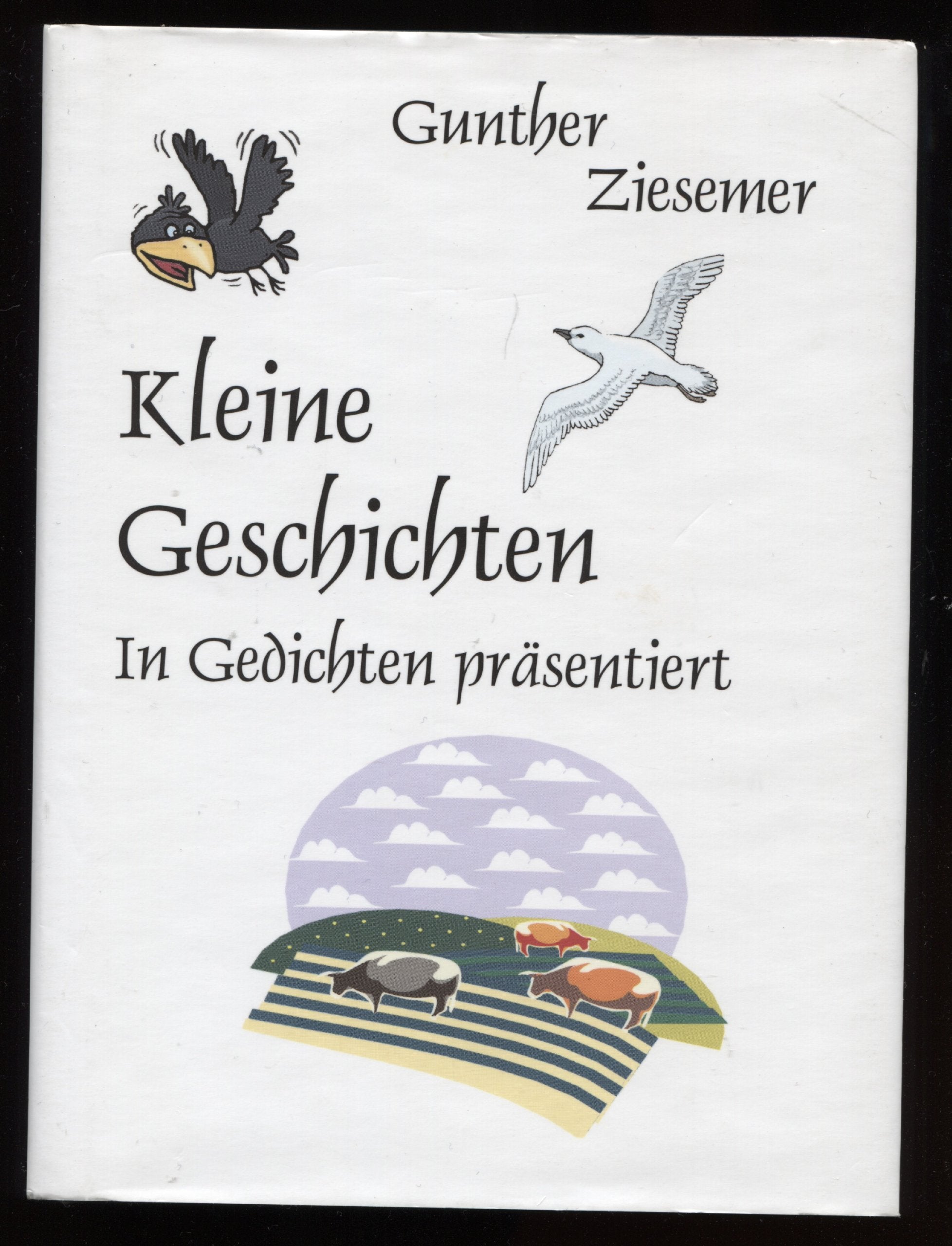 Kleine Geschichten. Humorvoll, realistisch, aktuell. Von Land und Leuten, Küste und Meer. In Gedichtform erzählt Books